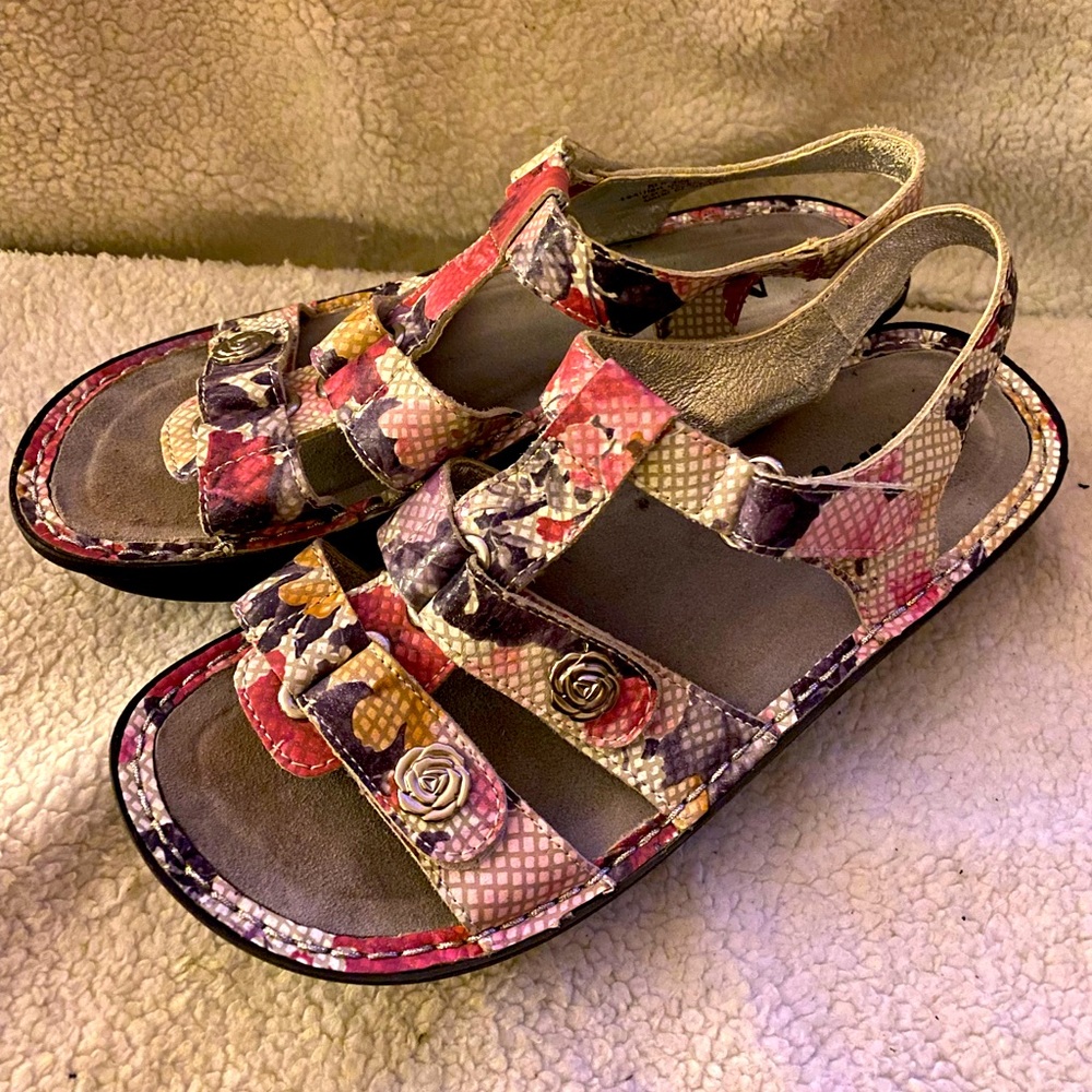 Alegria Kleo KLE-426
Women's Pink Purple
Metallic Silver Sandals